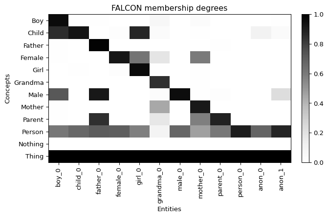 FALCON concept-by-entity membership heatmap on the Family ontology